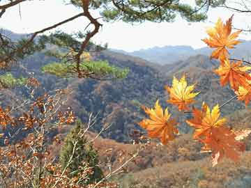 妙笔生花成语(成语妙笔生花)